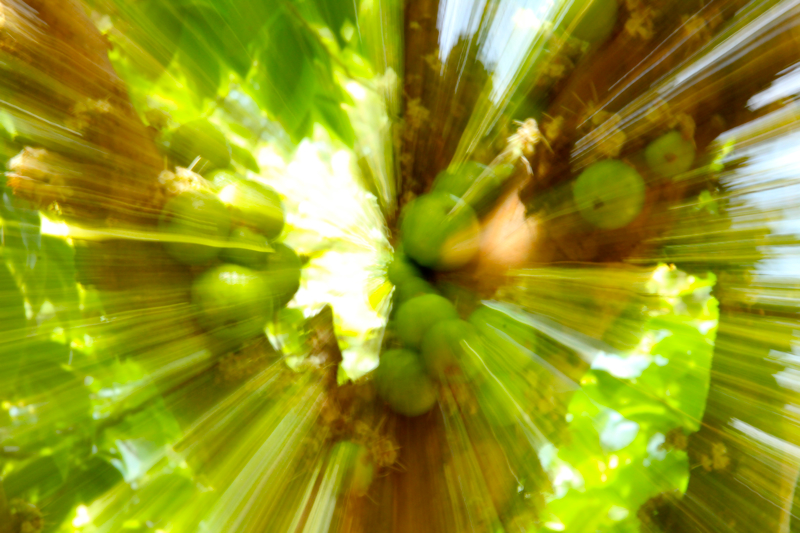 Illustration for article titled Zoom Photo Challenge Gallery 2